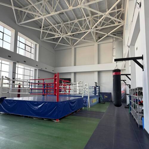 BuxDU Sport Majmuasi